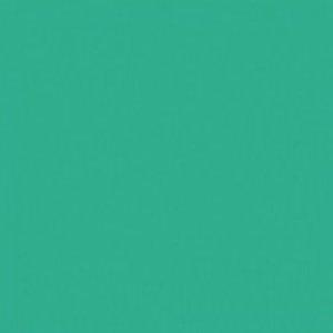 Paint and Paper Library Deep Water Green 599 Paint